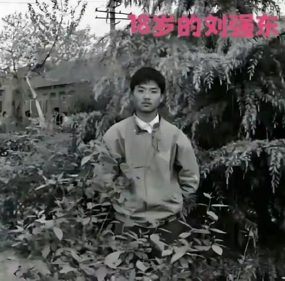 18岁的刘强东vs18岁的章泽天​​​