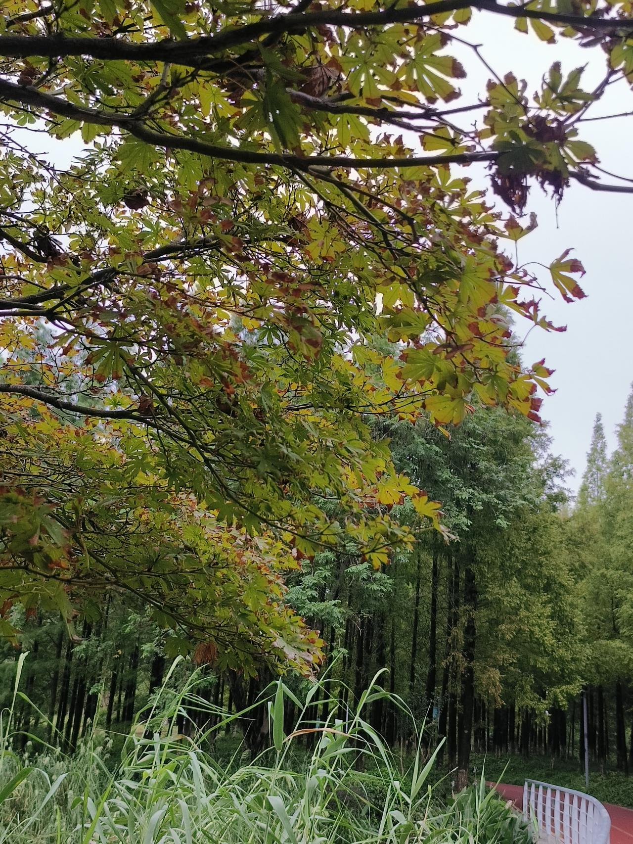 在感情里如果一个男人不联系你了，你也不联系他，他就会很慌。他会害怕失去，害怕你