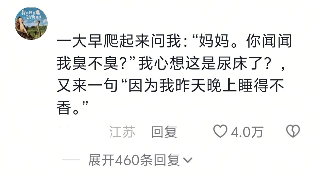 救命，真的好有趣