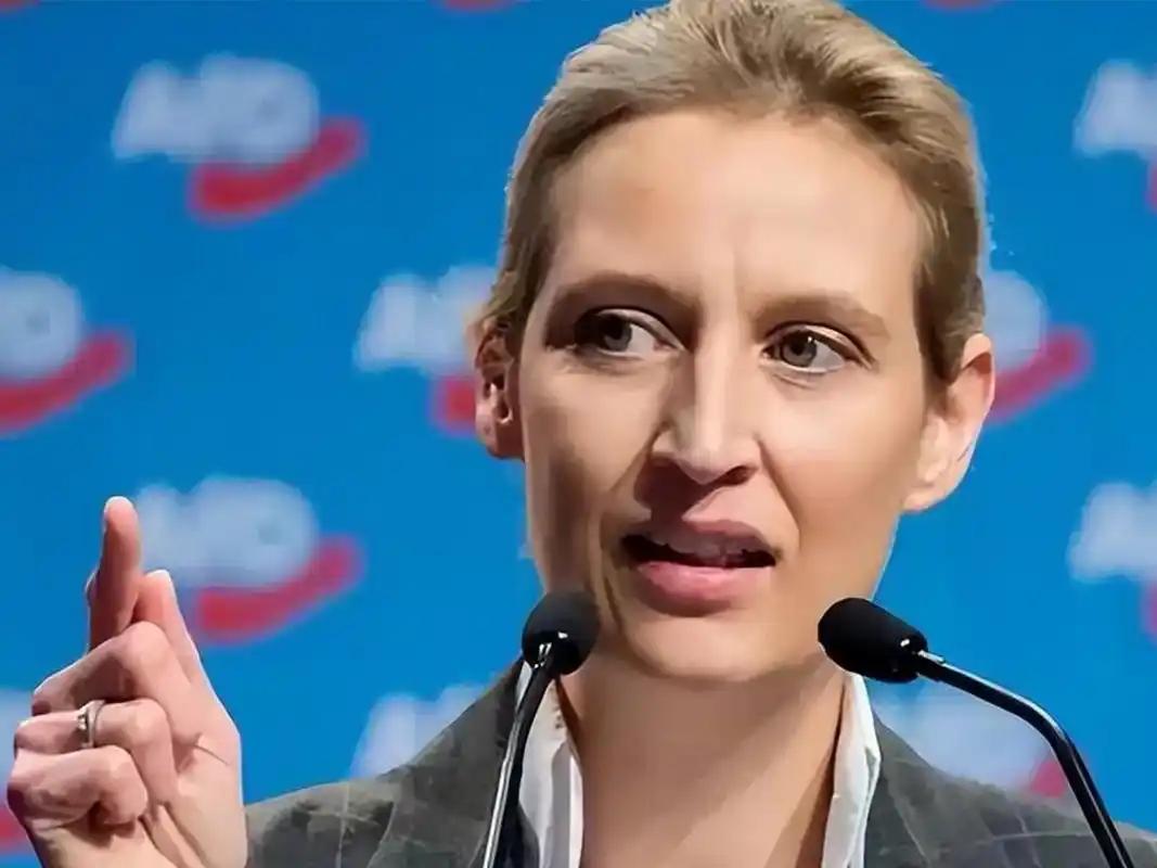 谁说极右翼都是老白男？魏德尔，这位曾在高盛和中国工作过的女性，硬是带着德国另类选