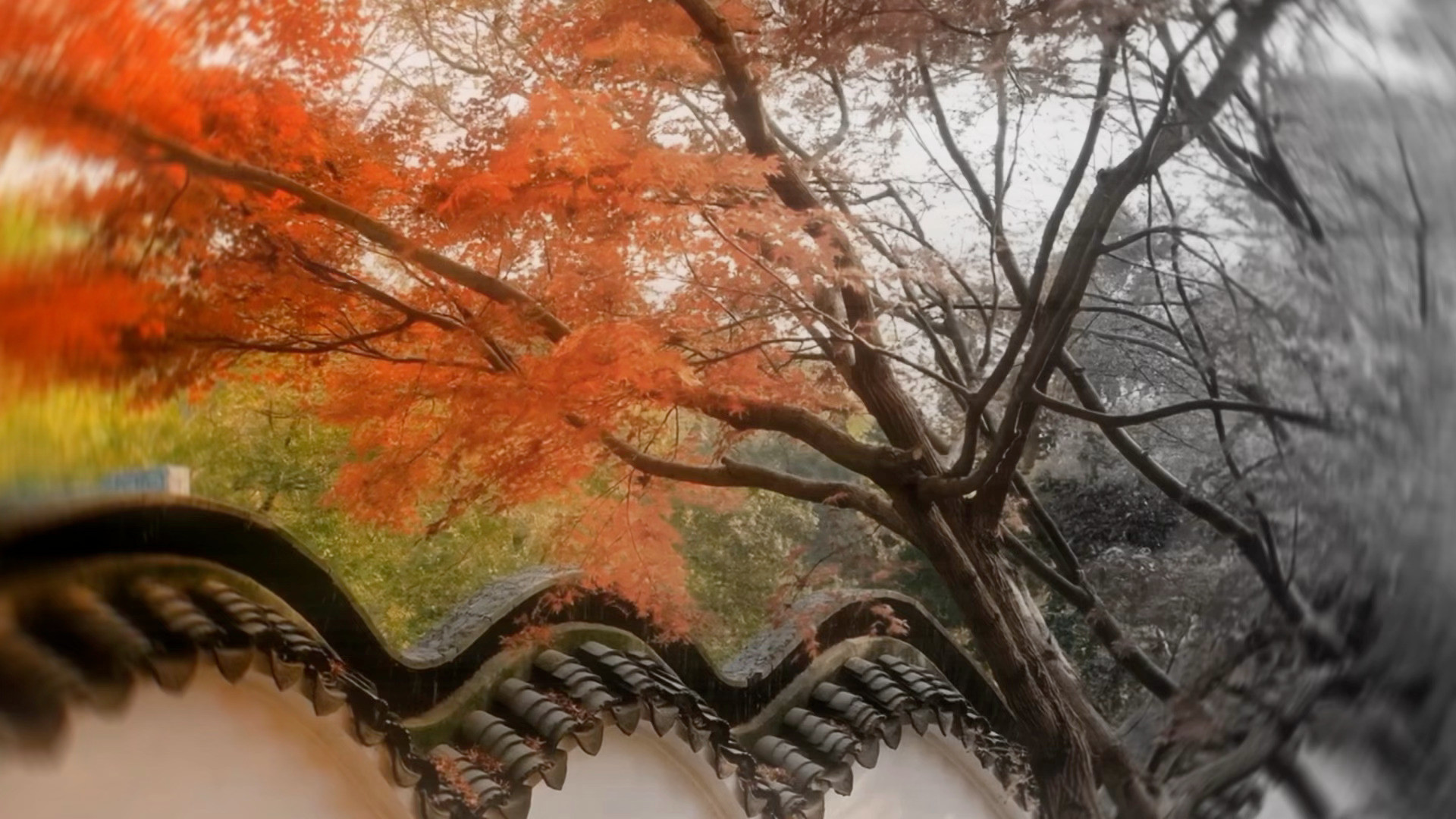 王维写「山色有无中」中式美学之风骨，从不在盛景，而在着色。天青含雨，黛色凝烟，苍