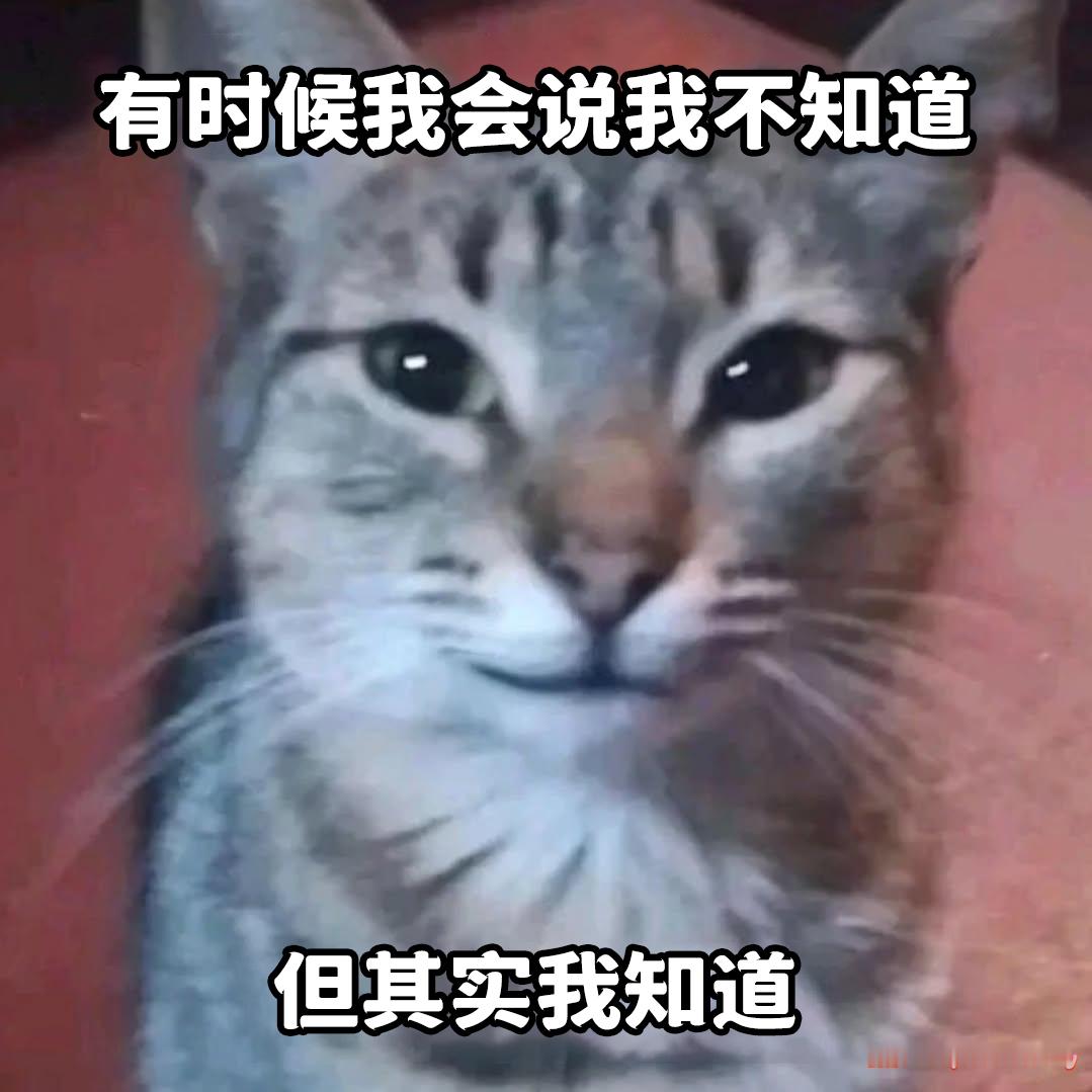 嘻嘻我就这样：meme​​​