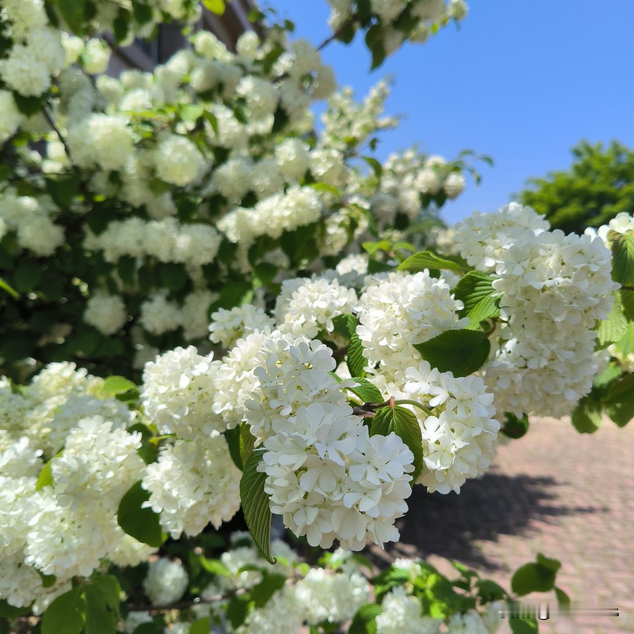 我竟然不知道，自己过着中年妇女的快乐生活1，钱都在卡里我家的钱不仅在卡里