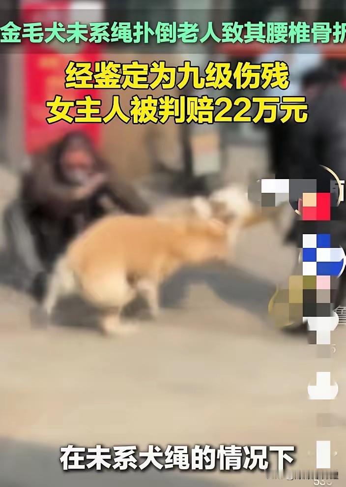 养狗不拴绳，这一扑就是22万，真的是给那些天天挂嘴边“我家狗不咬人”的狗主狠狠提