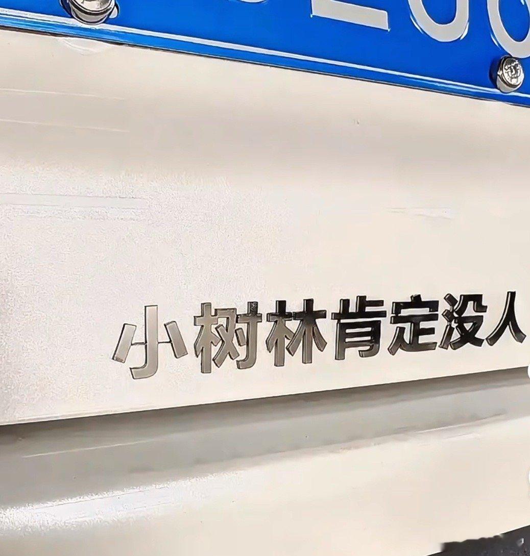 服了这些车主，第一个我差一点没认出来哪个车