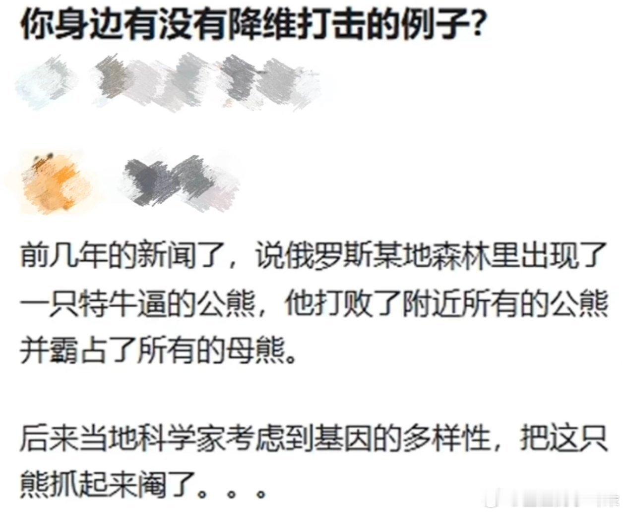 哈哈哈哈哈