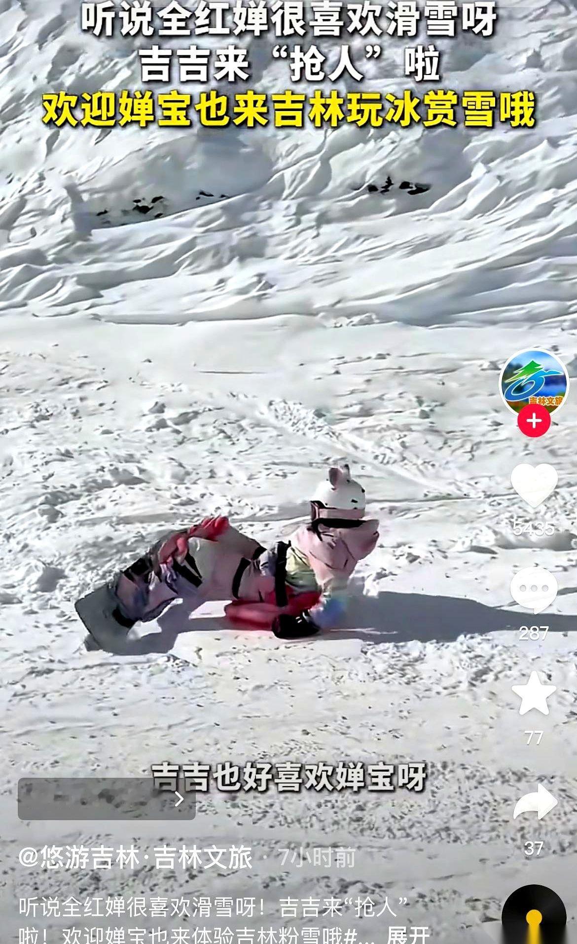 我宣布，全国文旅部门正式进入『哄孩子』模式。主角：我们家全红婵。前脚我们家“