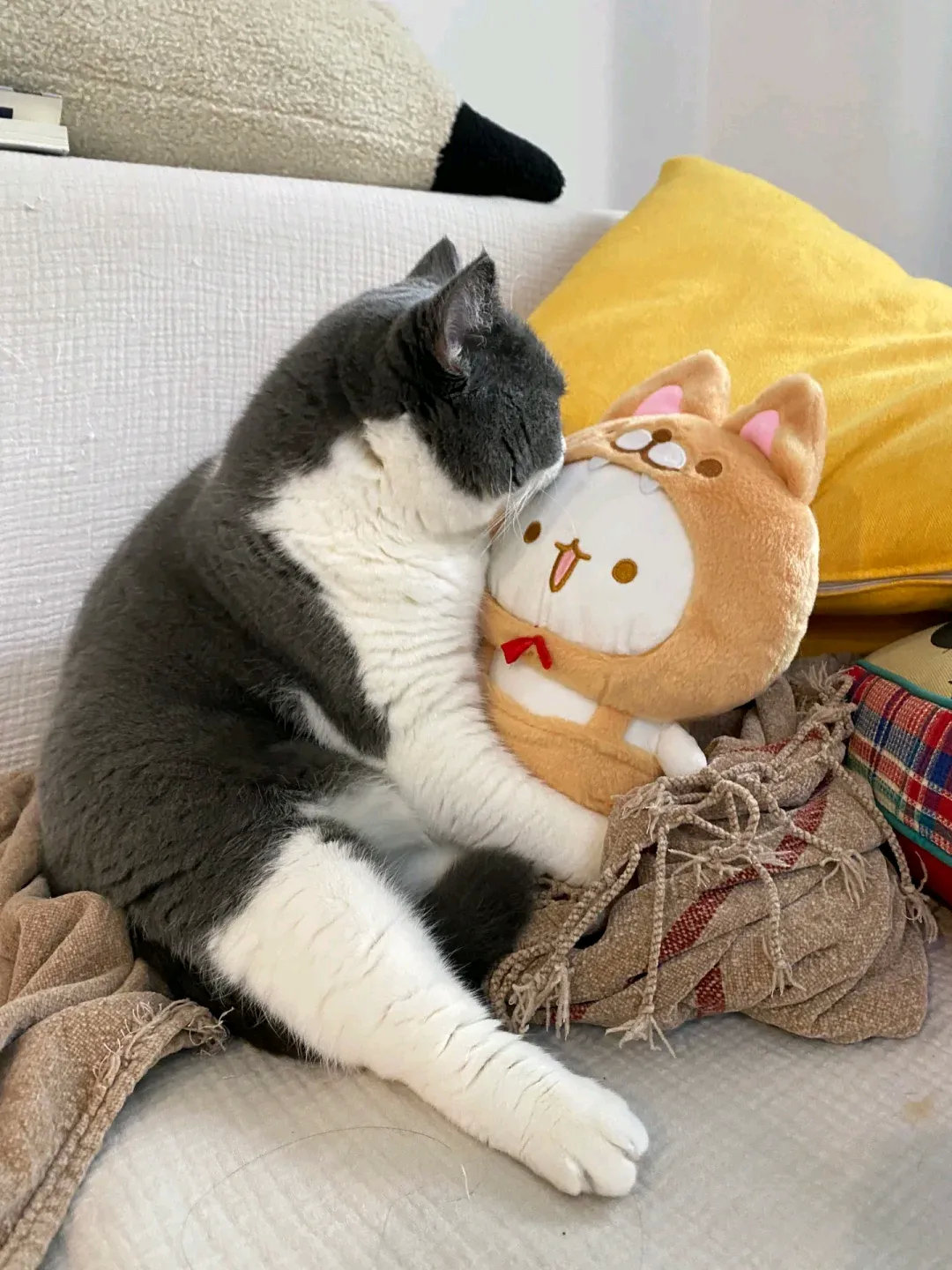 连麻麻的玩具都不放过了。一转眼的功夫，就偷走了。真是精的很呀，啥事没干，就喜欢占