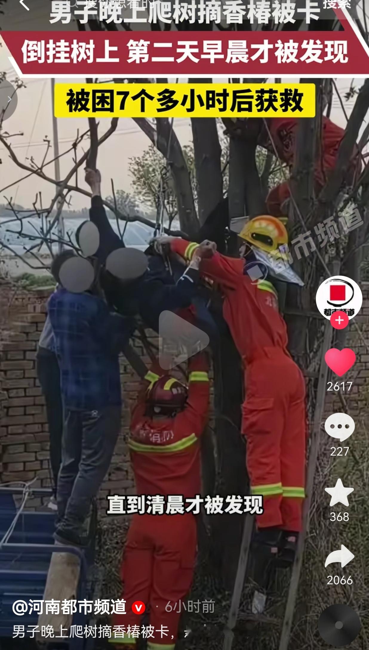 半夜爬树摘香椿，结果倒挂在树上卡了7个小时，这事真的又好笑又后怕近日，北京顺