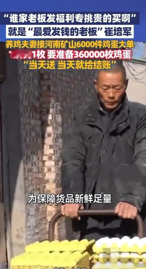 这单生意太给力！河南长垣一对养鸡夫妻，最近接了个“硬活儿”——河南矿山的新春福利