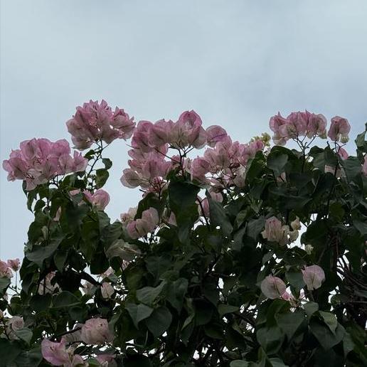 时隔15日  中央生态环保督察第二次通报：天津2区生态修复5个短板弱项 1