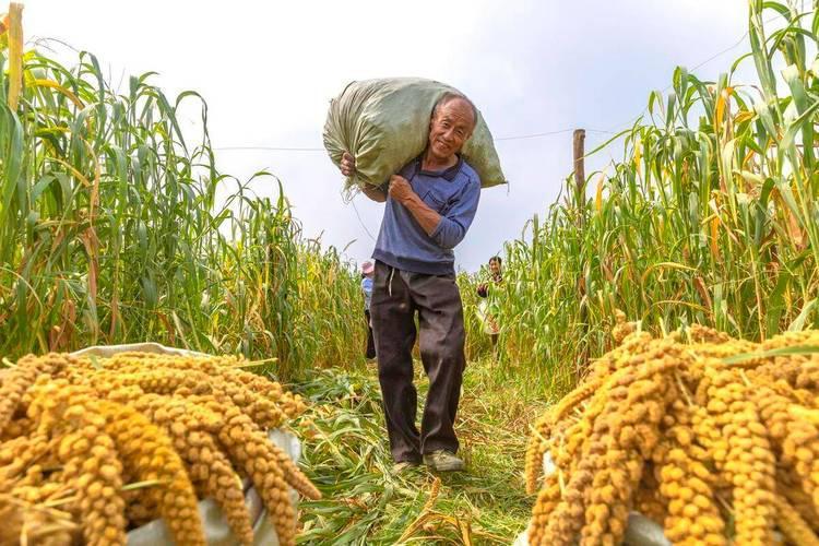 将农村70岁以上老人的养老金提高至每月400元。按说这也不多。但先解决好大家关心