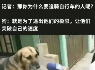 太真实了，哈哈