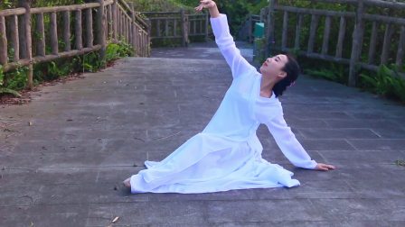 中国古典舞身韵教学组合臂之动摇臂