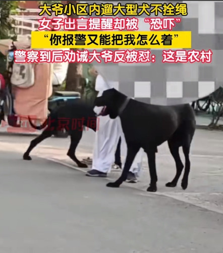 北京，女子见一大爷带着2条大黑狗在街上转悠，女子丈着胆子上去提醒：大爷，你也不抓