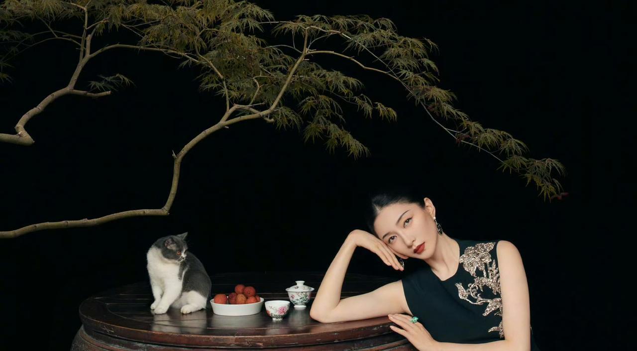 江疏影这组“暗香疏影”大片真的太绝了！秋意浸染的江南庭院里，青瓦白墙衬着斑驳树影