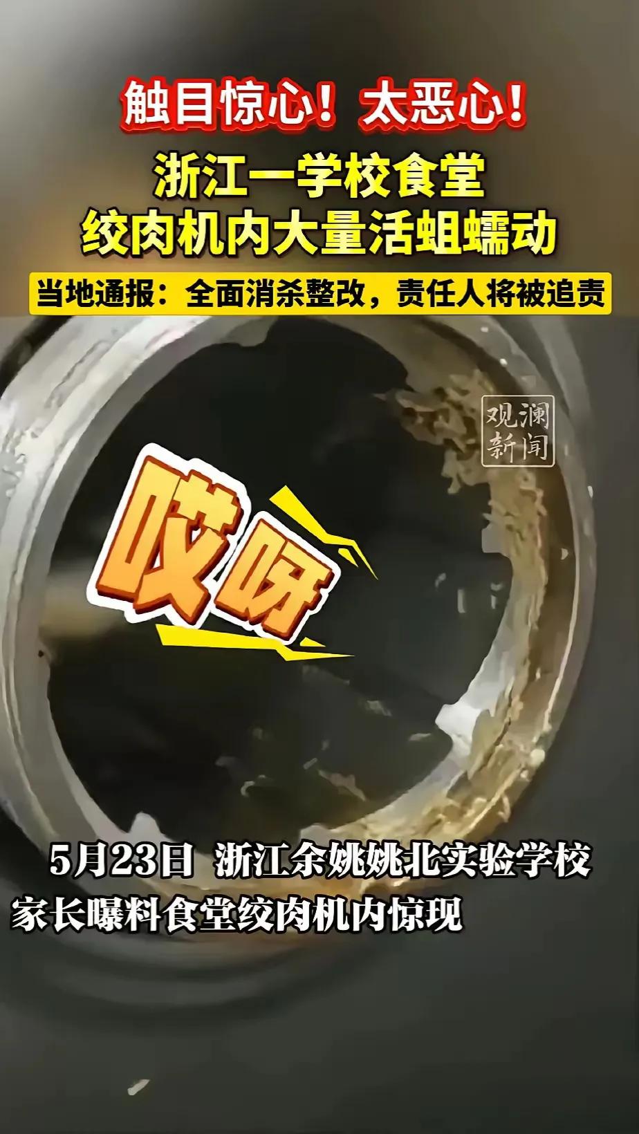 浙江余姚，校长、副校长都很冤，教育局副局长更冤。他们不可能一天天一直盯着食堂，为