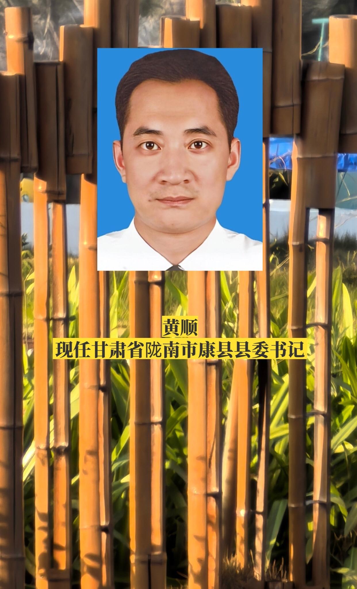 甘肃陇南市各区县书记。