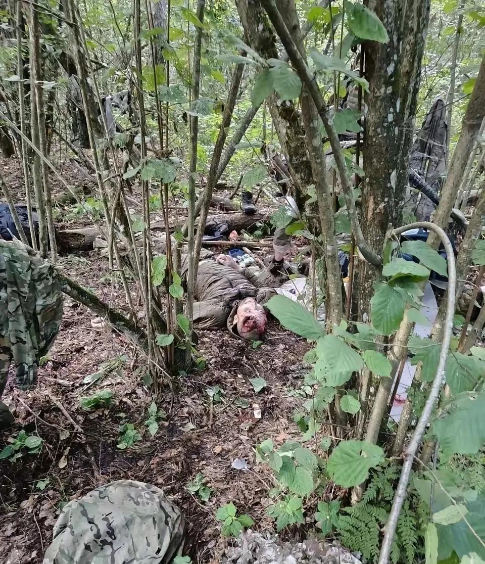 俄罗斯对来犯的乌克兰特种兵部队下手的确是狠心的。在布良斯克已经是发现了大量的乌特