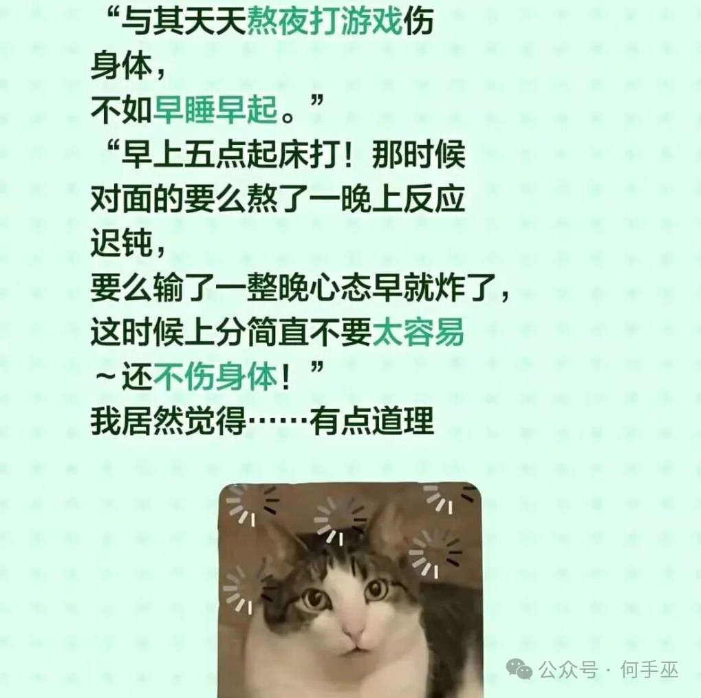 邪修上分就是快