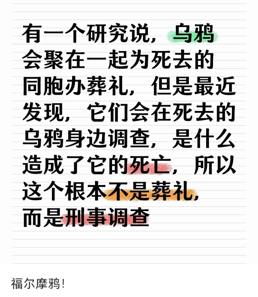 乌鸦会查案，但是容易造成冤案[笑着哭]​​​