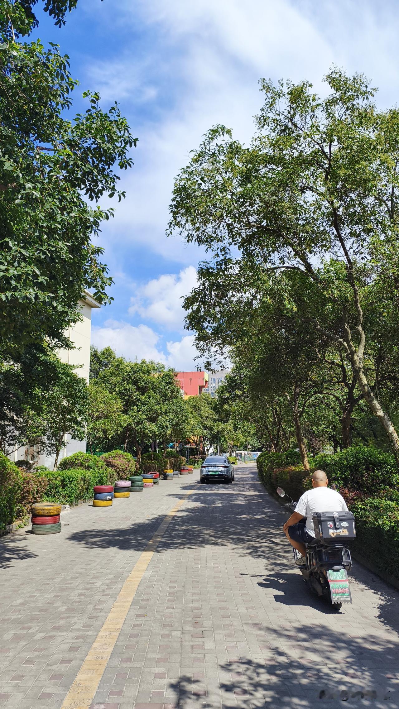 现在来南京旅游不要太舒服了，体感一下子凉快下来了，21度左右的温度，暑气退得干干
