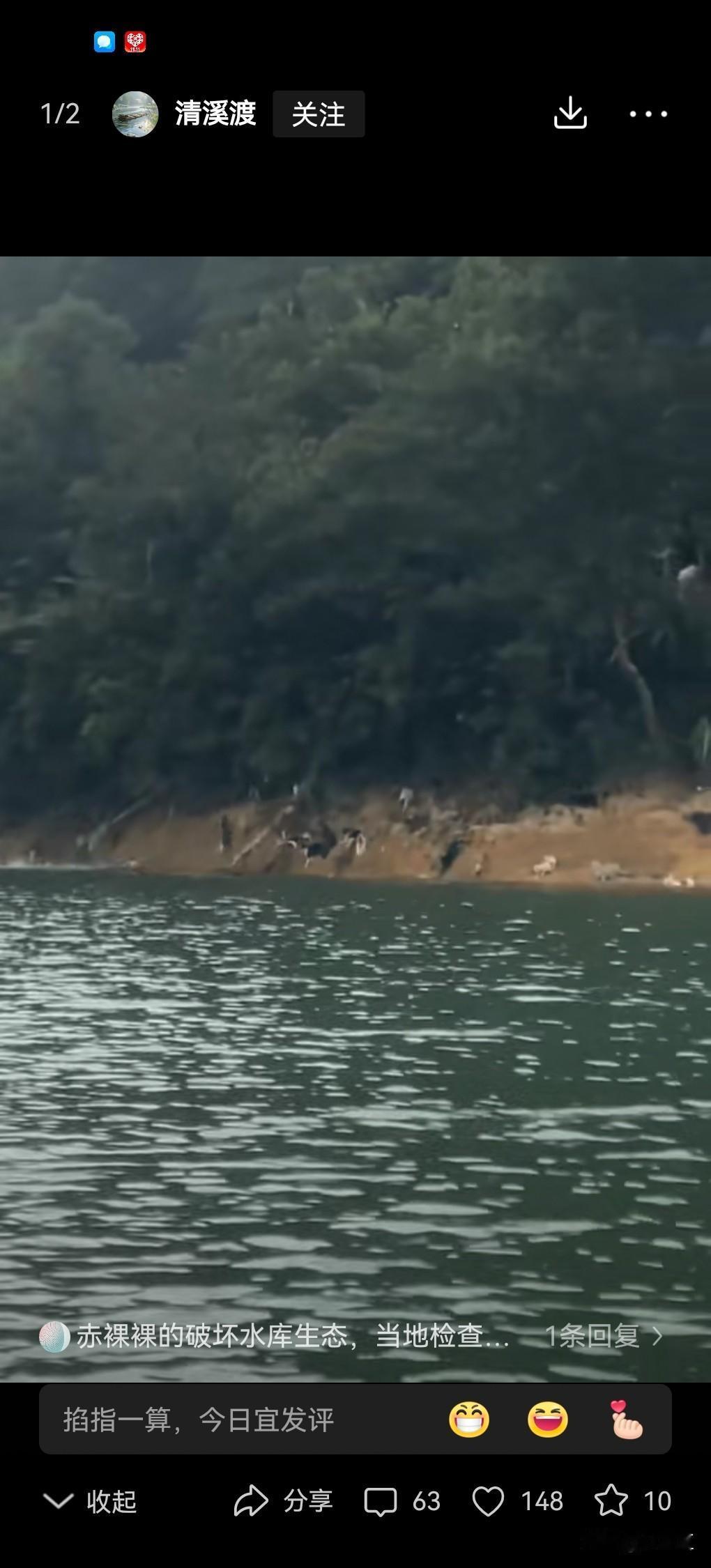 广东清远，一群中老年人，放着佛经，水库附近放生猫咪，使得大量猫咪落水！放生，中