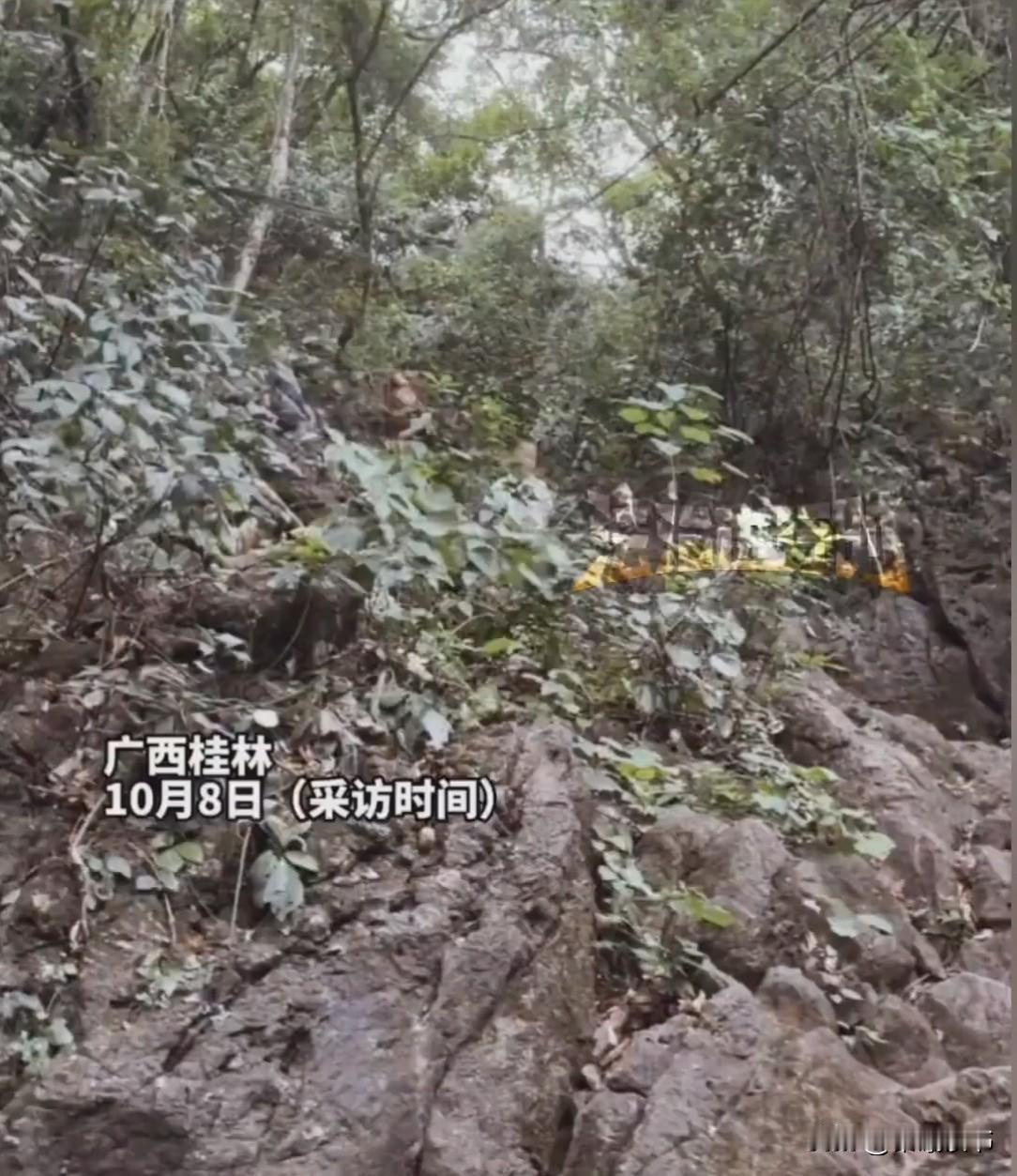 广西桂林一山里,一男子正举着手机拍景。突然,他瞅见山上小孩“噌”地往下摔!他心猛