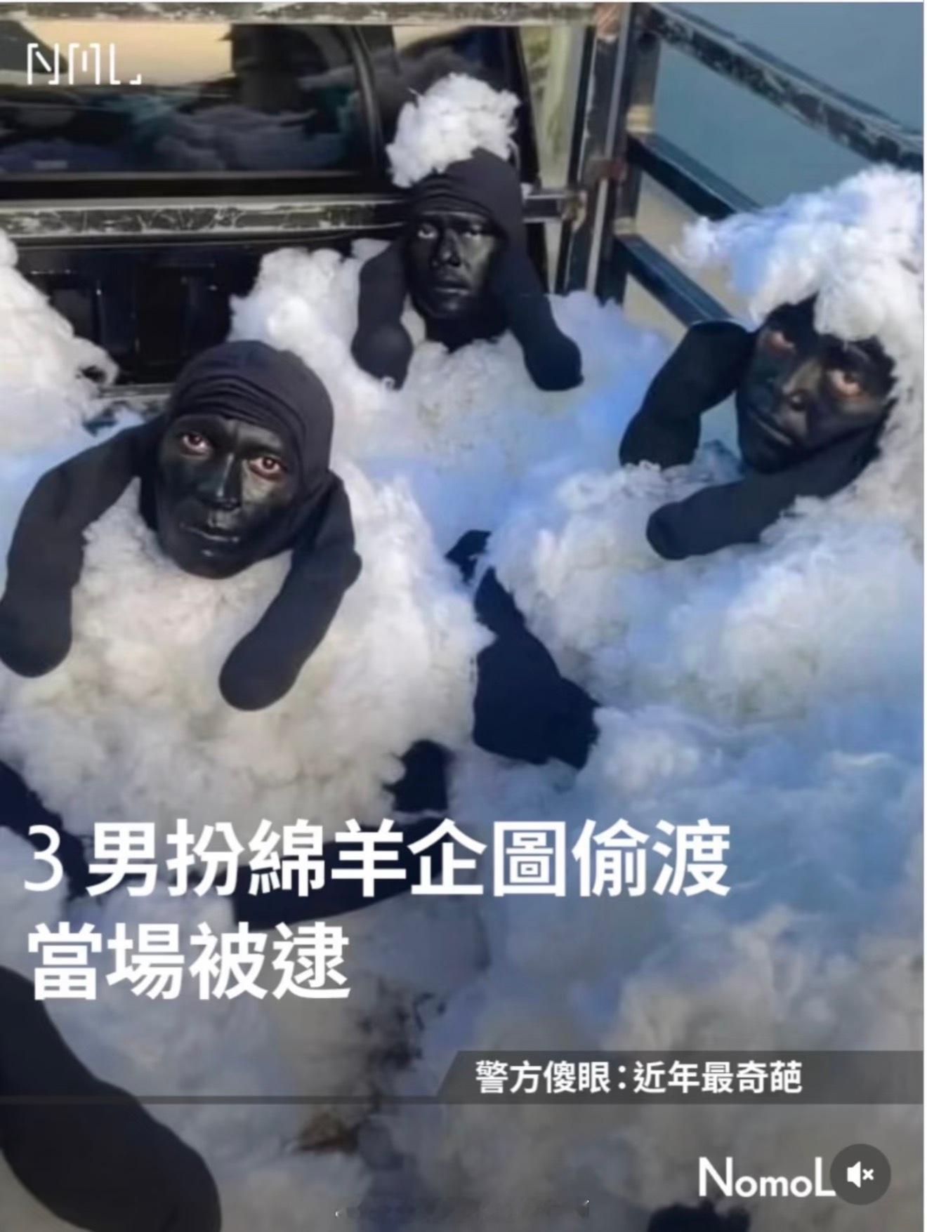我要笑死了，这是什么抽象操作