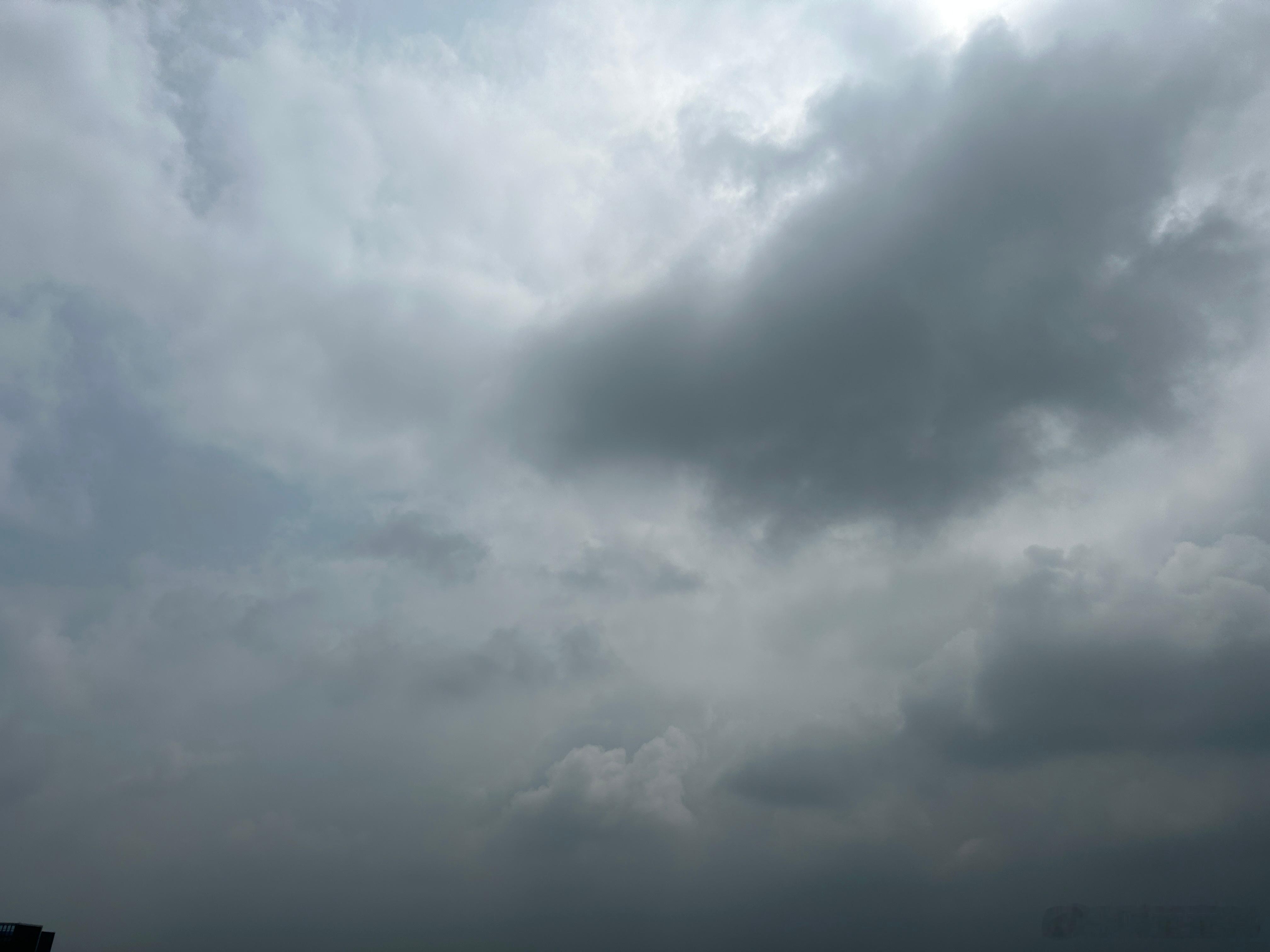 最近老是下阵雨，只要有乌云，必定要下雨。不过立秋之后，空气湿润很舒服，对鼻炎患者