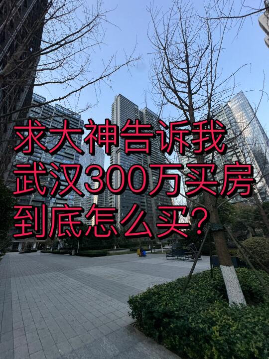 武汉300万买房，越看越卑微！（看麻了）