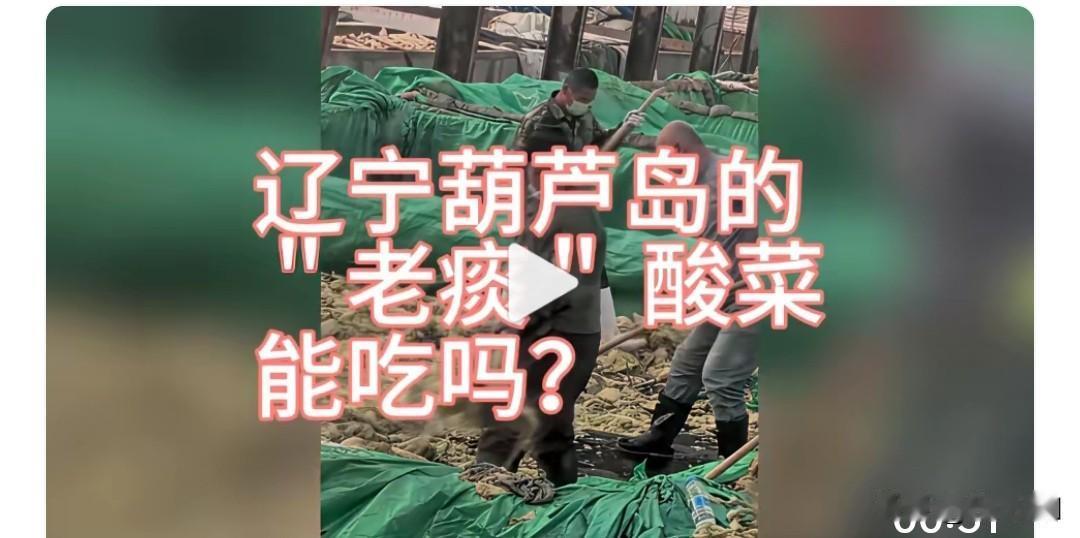 辽宁葫芦岛的“老痰”酸菜能吃吗？工作人员穿着大靴子站在酸菜池子里干活，这卫生怎么