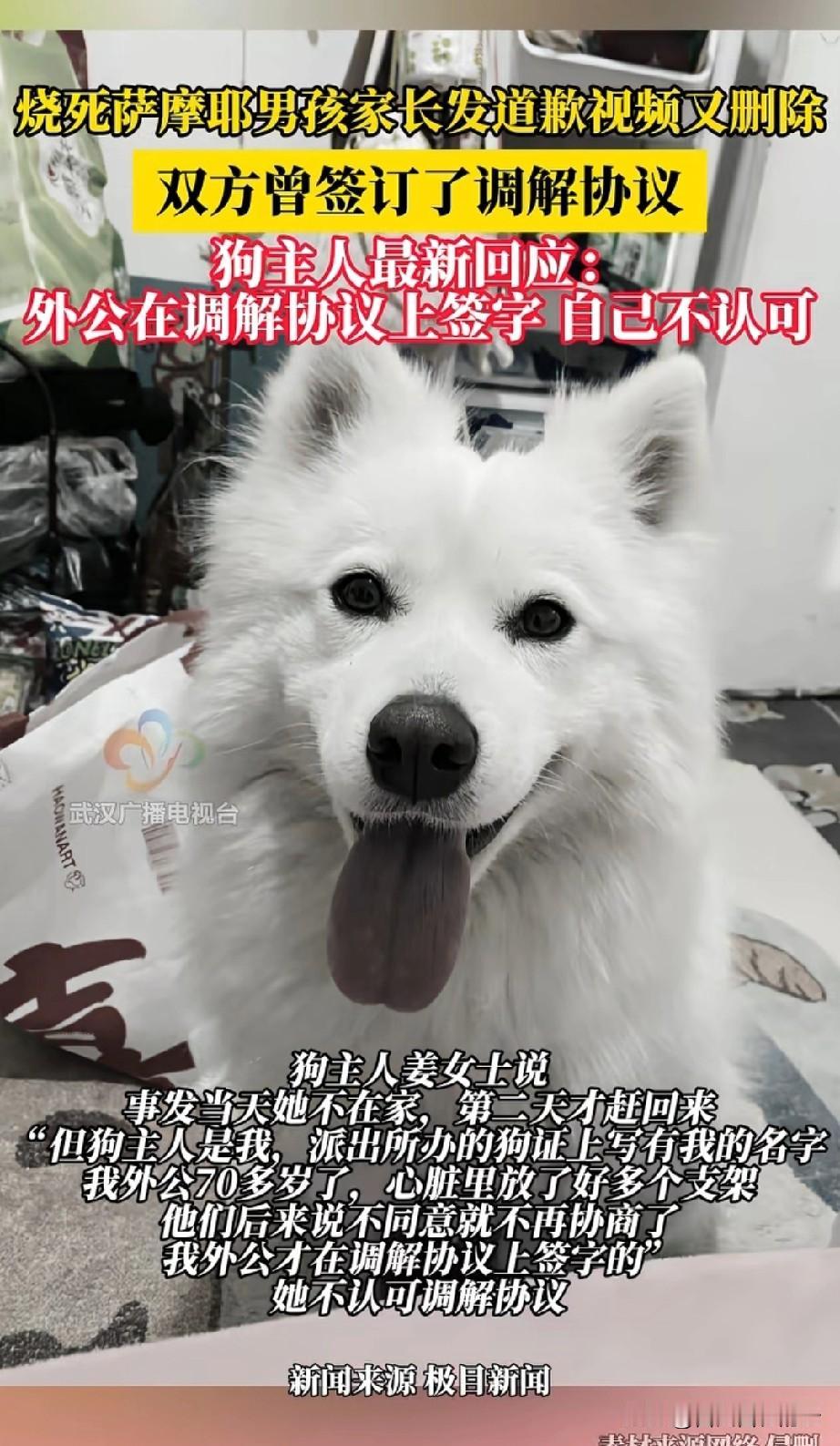 萨摩犬被烧死这件事里，其实白衣男孩和他的家长做的还是很好的。白衣男孩没有扔烟花，