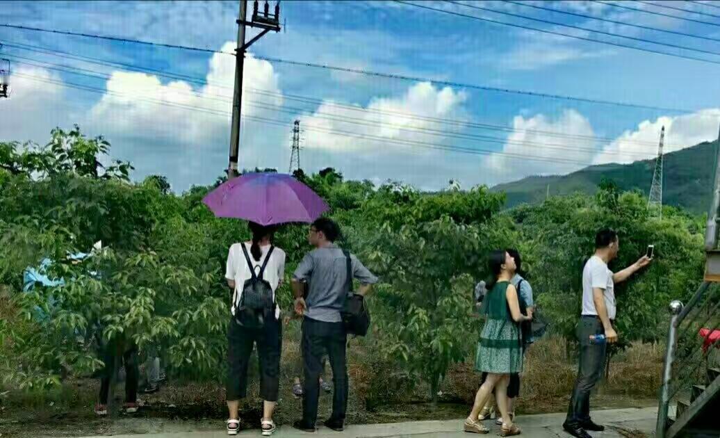丧偶、离异、大龄女,你娶谁?离婚女子，可能会涉及很多麻烦，前夫麻烦，前夫家庭