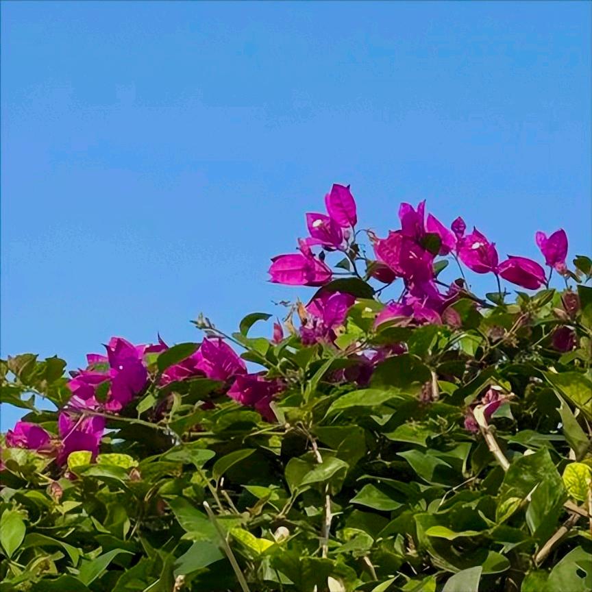 清华大学工程硕士冯忠华履新广州 近日，清华大学工程硕士冯忠华履新该市。 