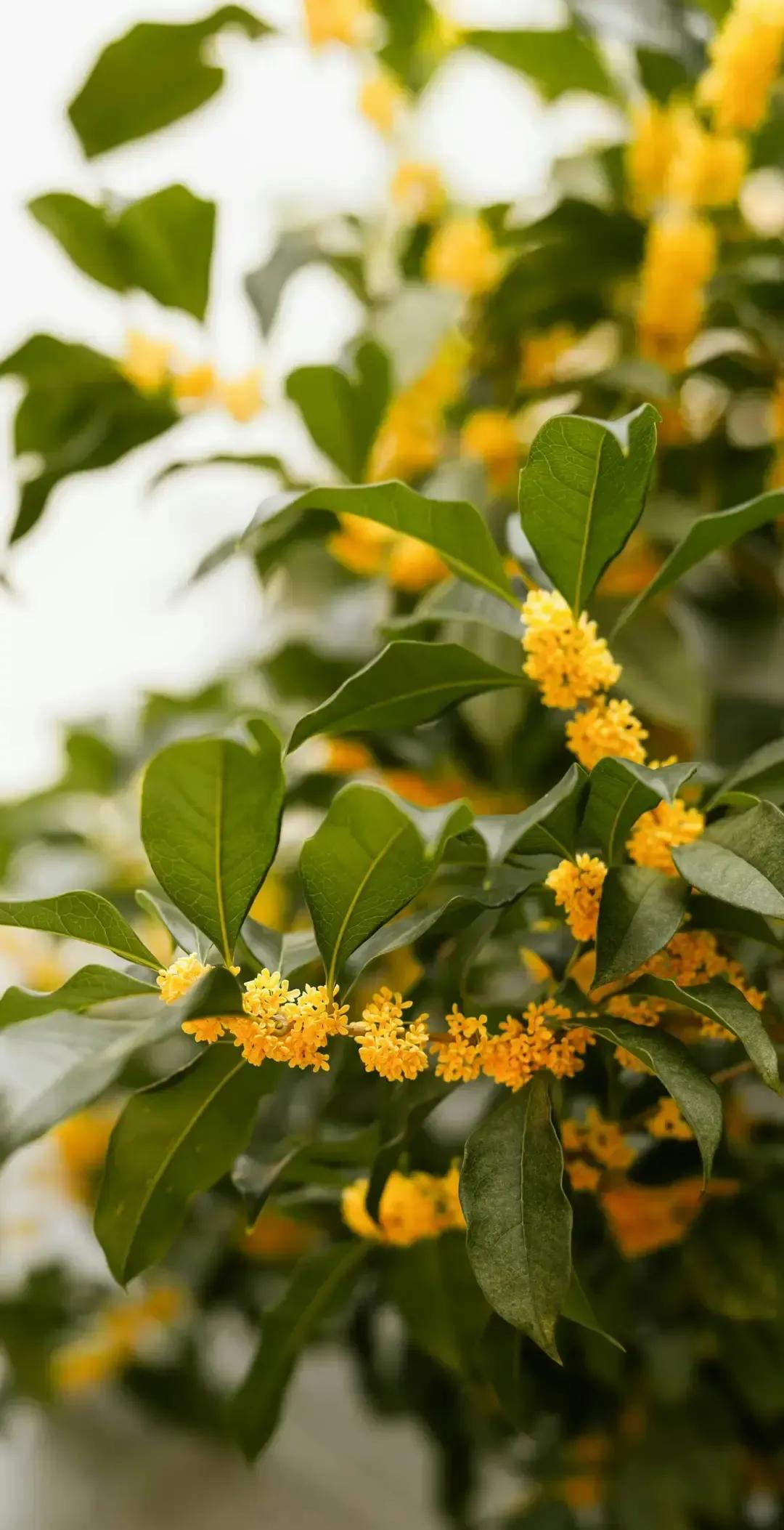 曾仕强早就说过，别人不把你当回事，就别再凑上去。刷到这句话时，我脑子里立刻冒出
