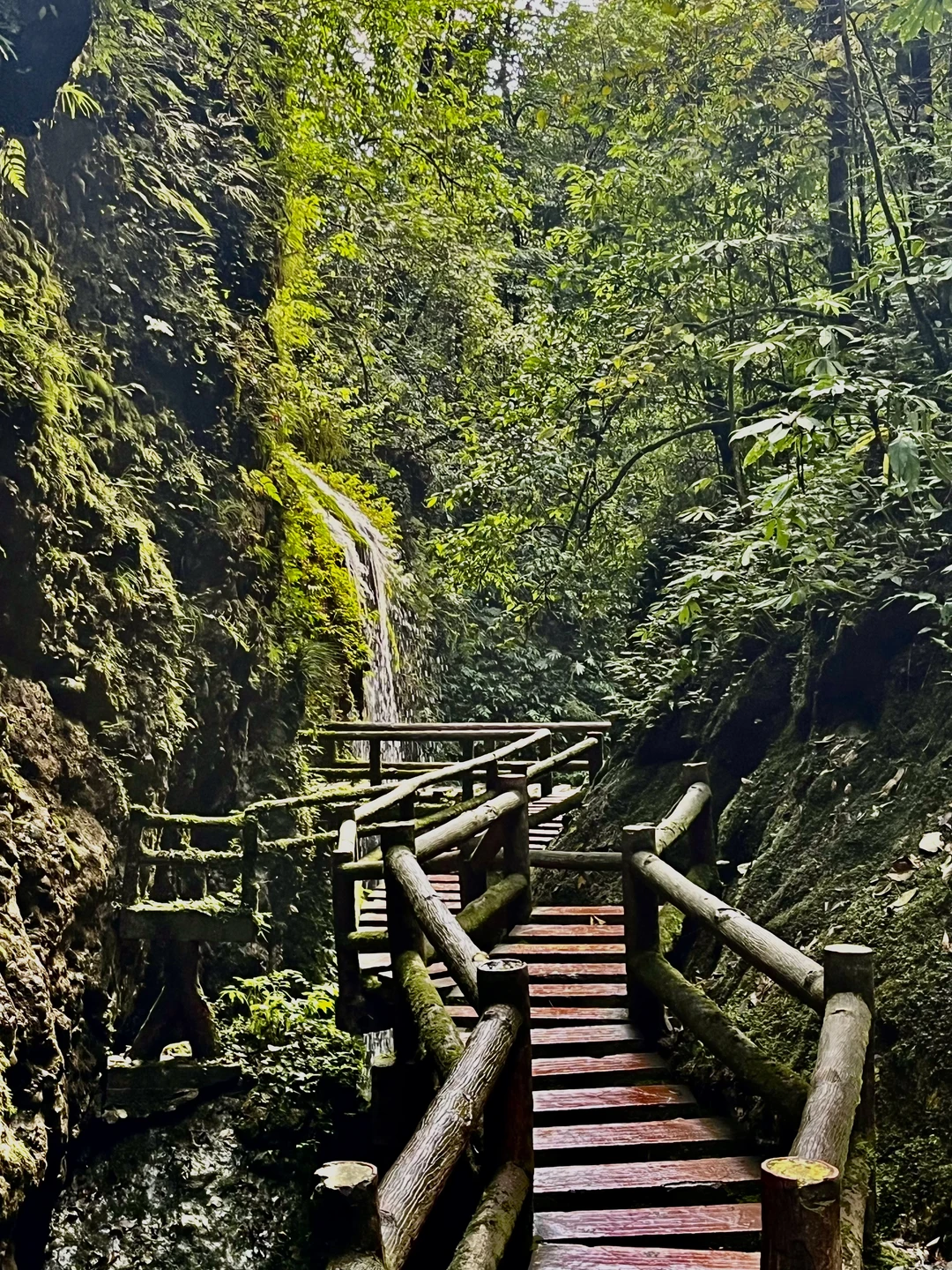 藏在深山里的绝美瀑布，你找到了吗？