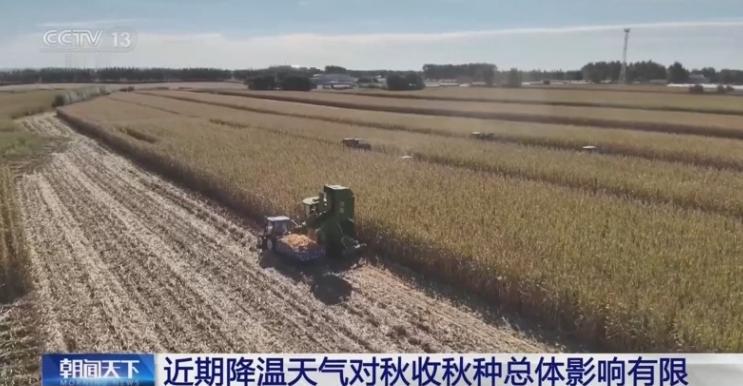 冷空气突袭！7400万亩秋粮抢收告急，农民连夜抢收保粮 谁能想到，眼看就