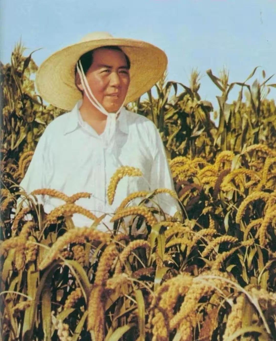 那一抹笑容，穿过田垄与岁月，暖了代代人的心房。毛主席踏进田间地头，双脚沾满故乡的