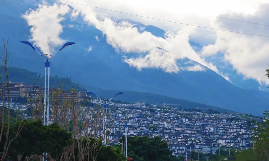云南文旅这次真的委屈坏了他万万没想到他躺着也要挨枪，由于三亚旅客被蛇咬了，
