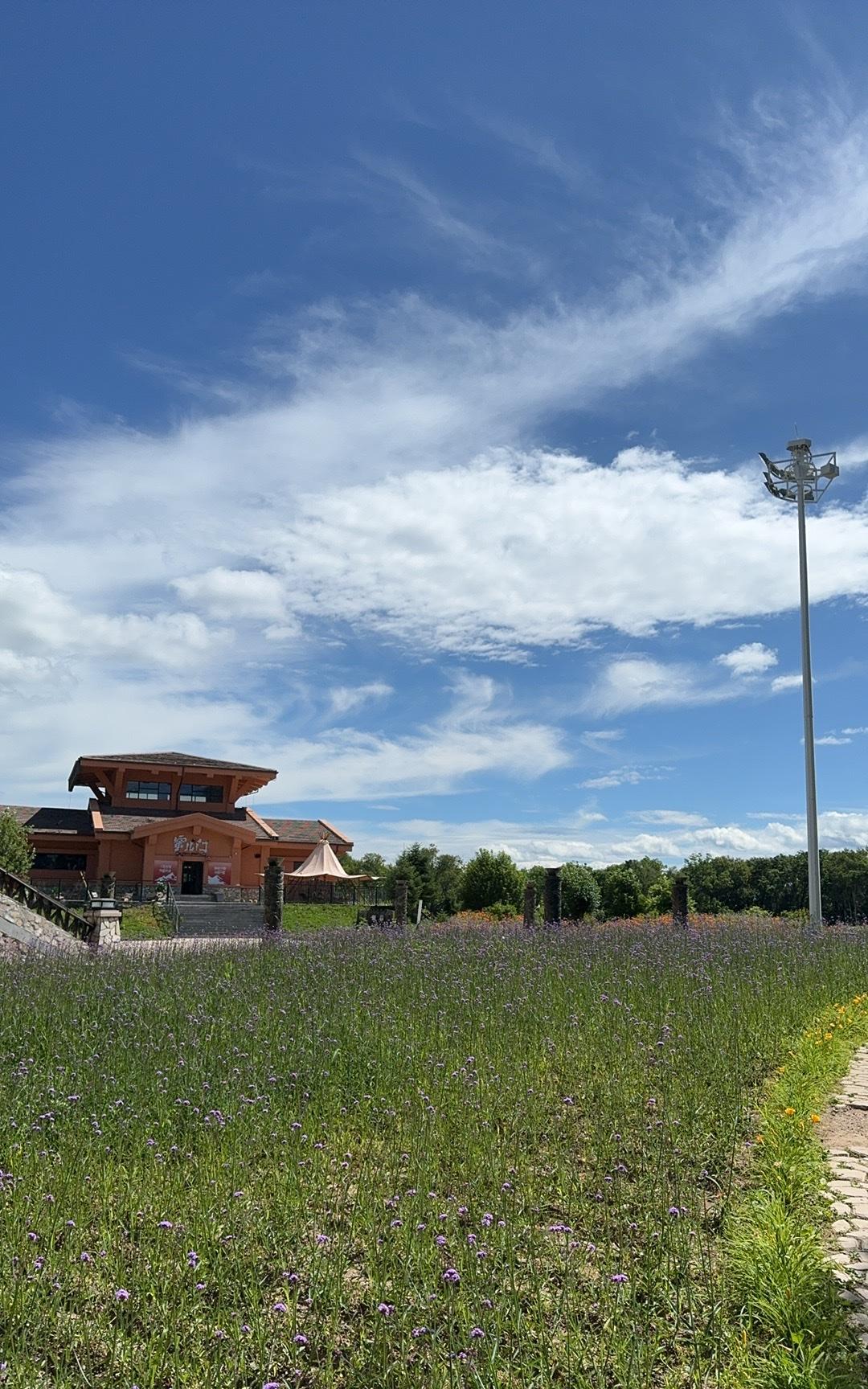 尊重与融合！不可否认，网络上有股风，妖魔化老年人。什么公交车抢座，公园里尬舞