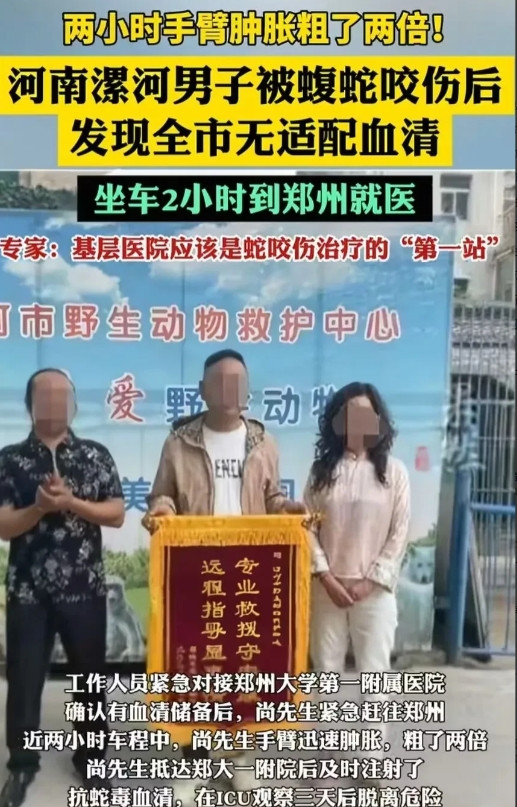 “蛇的天敌是什么？”河南漯河，一位大哥发现村里土坡上竟然有一只满身花纹的蝮蛇，他