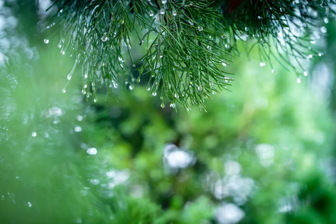 因降雨, 河南多条高速路段禁止所有车辆上站!