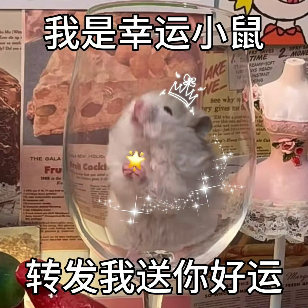 转发这只幸运小鼠五月送你好运🌟​​​