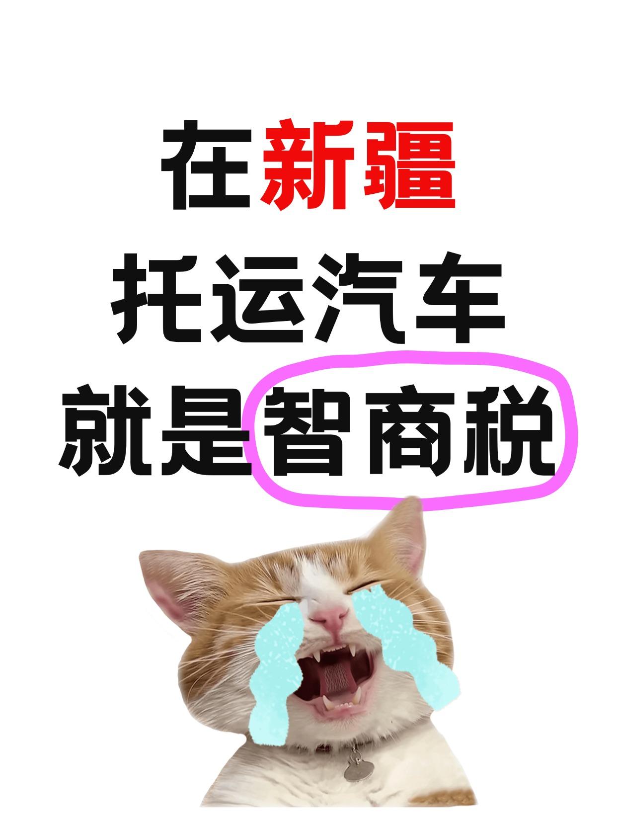 救命！刚在新疆托运完车子的我，真的被气到捂胸口😤！姐妹们听我一句劝，这几种情况