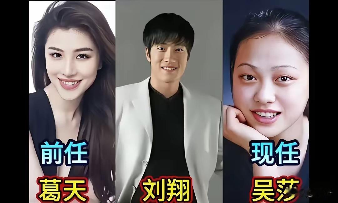男明星的前任和现任。林依轮的前任看起来长得更漂亮一点，但是现任我觉得气质更好一