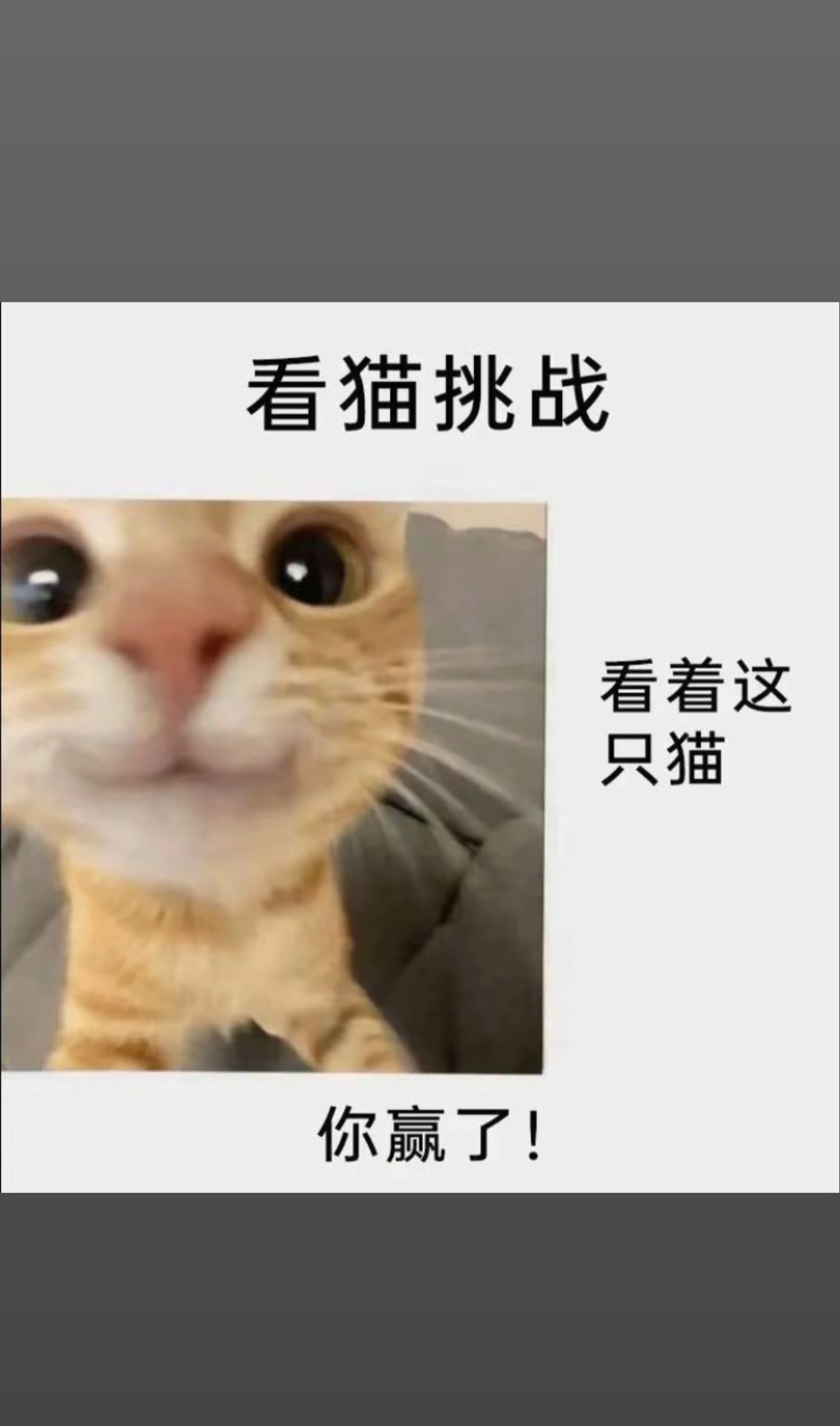 我想变得人傻钱多