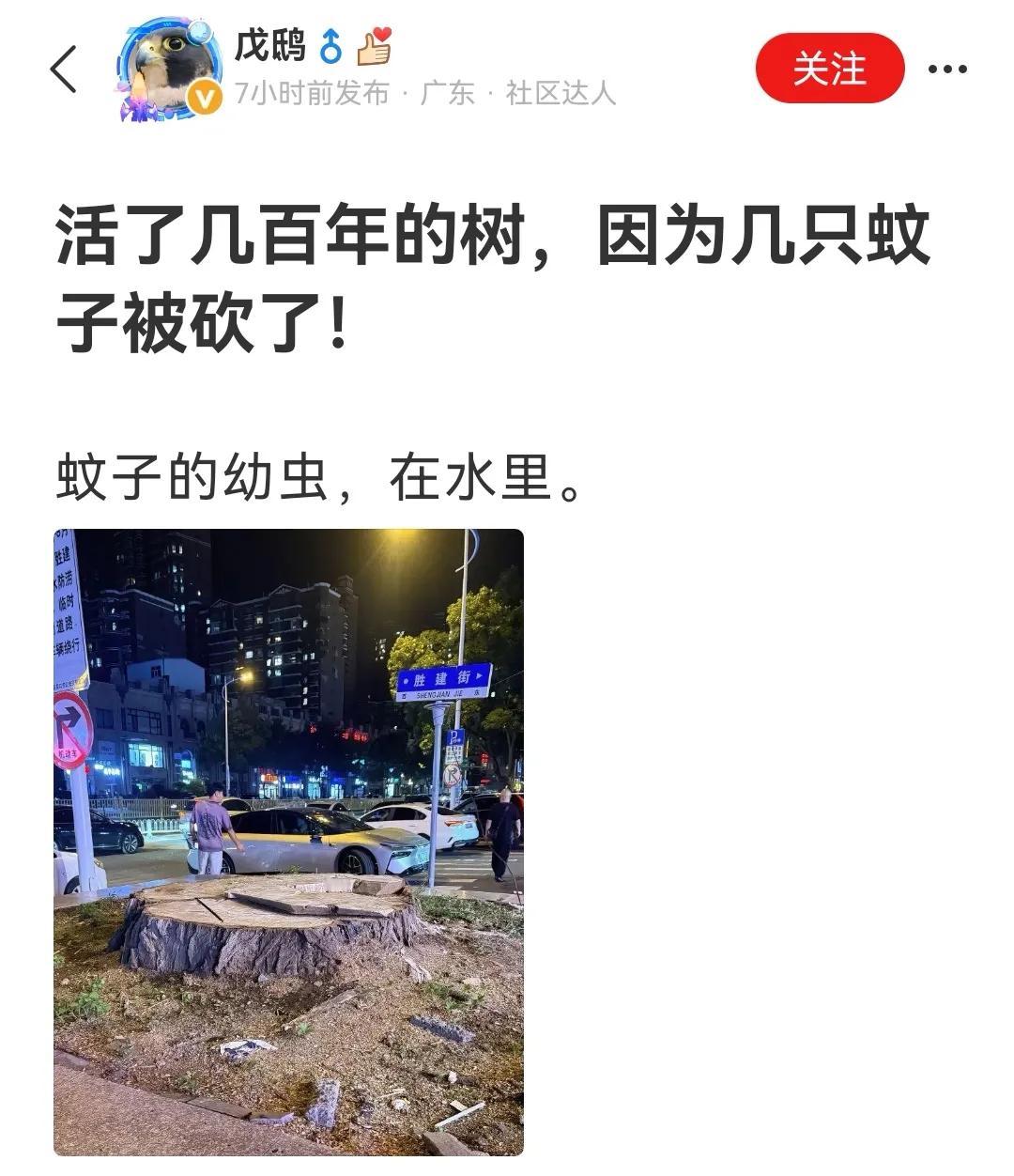 原来以为用大炮打蚊子是笑话，现在看来确有其事。