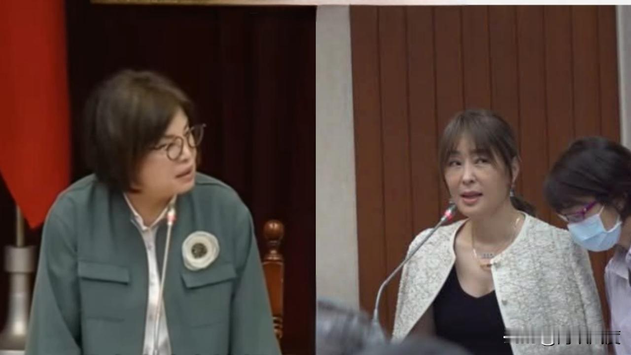 贾永婕小心翼翼伺候民进党，今天被绿委在立院羞辱衣着打扮。原来赏了个官位，民进党官
