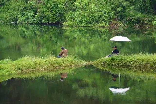 >> 文章内容 >> 夏季钓鱼不同时间的要点  夏天什么时候钓鱼最好答:一